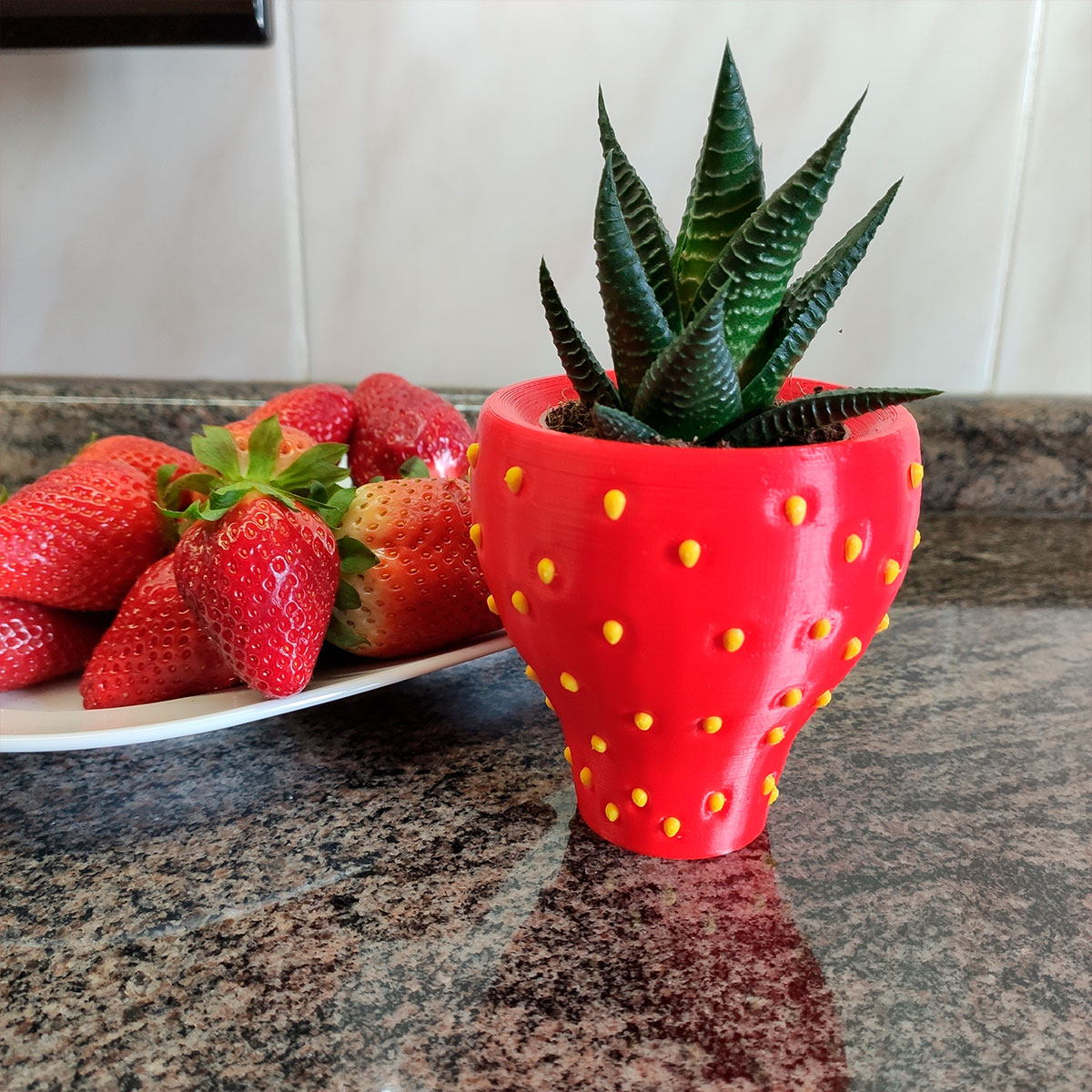 Decoración del Hogar