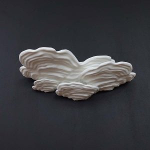 Repisa Champiñón Ostra