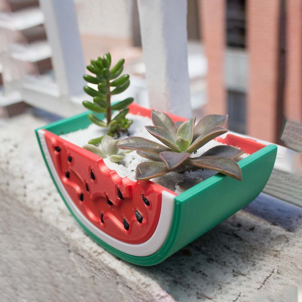 Macetero Sandía
