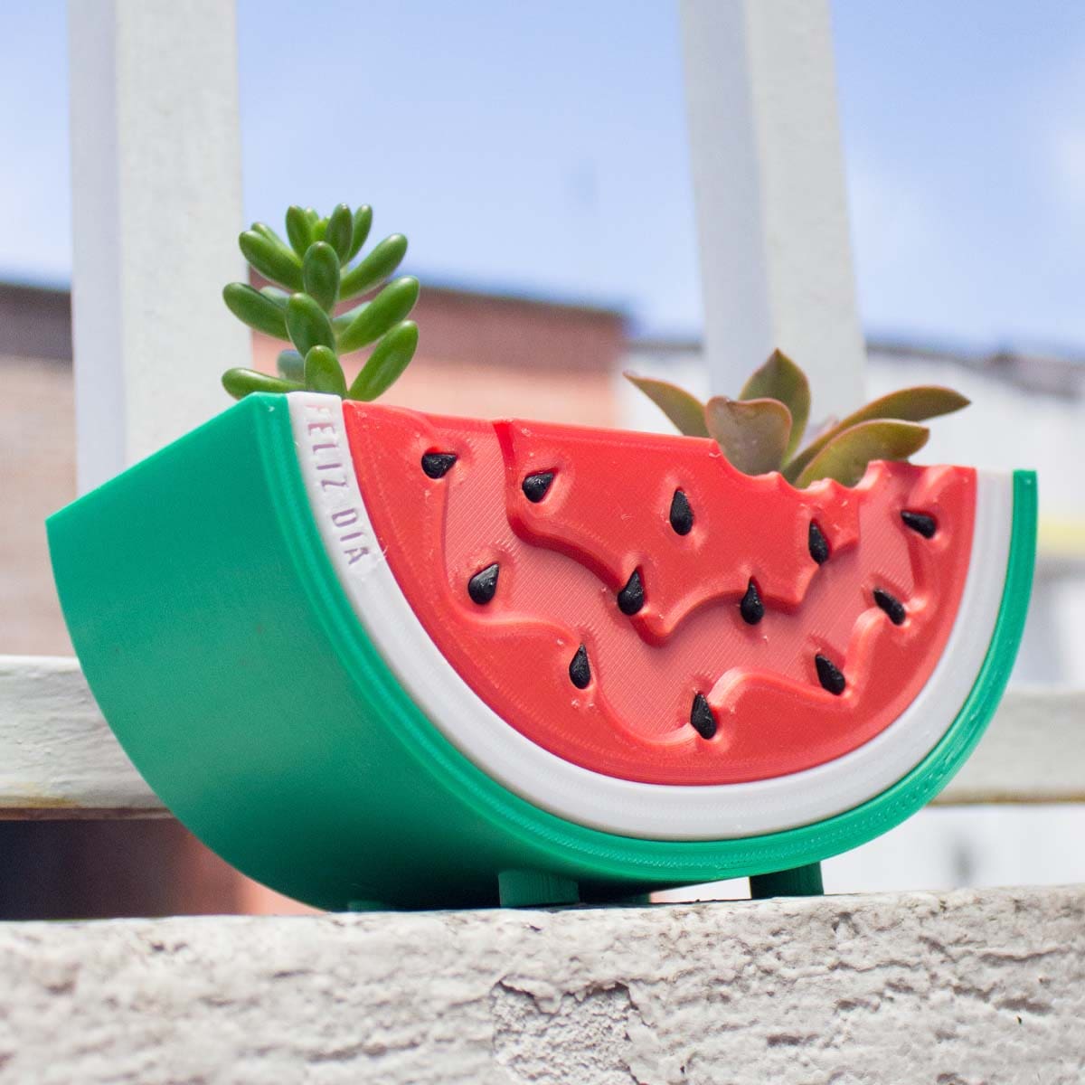 Macetero Sandía