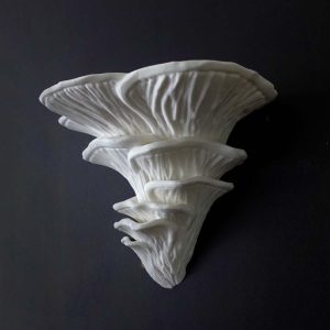 Repisa mini Champinón Ostra