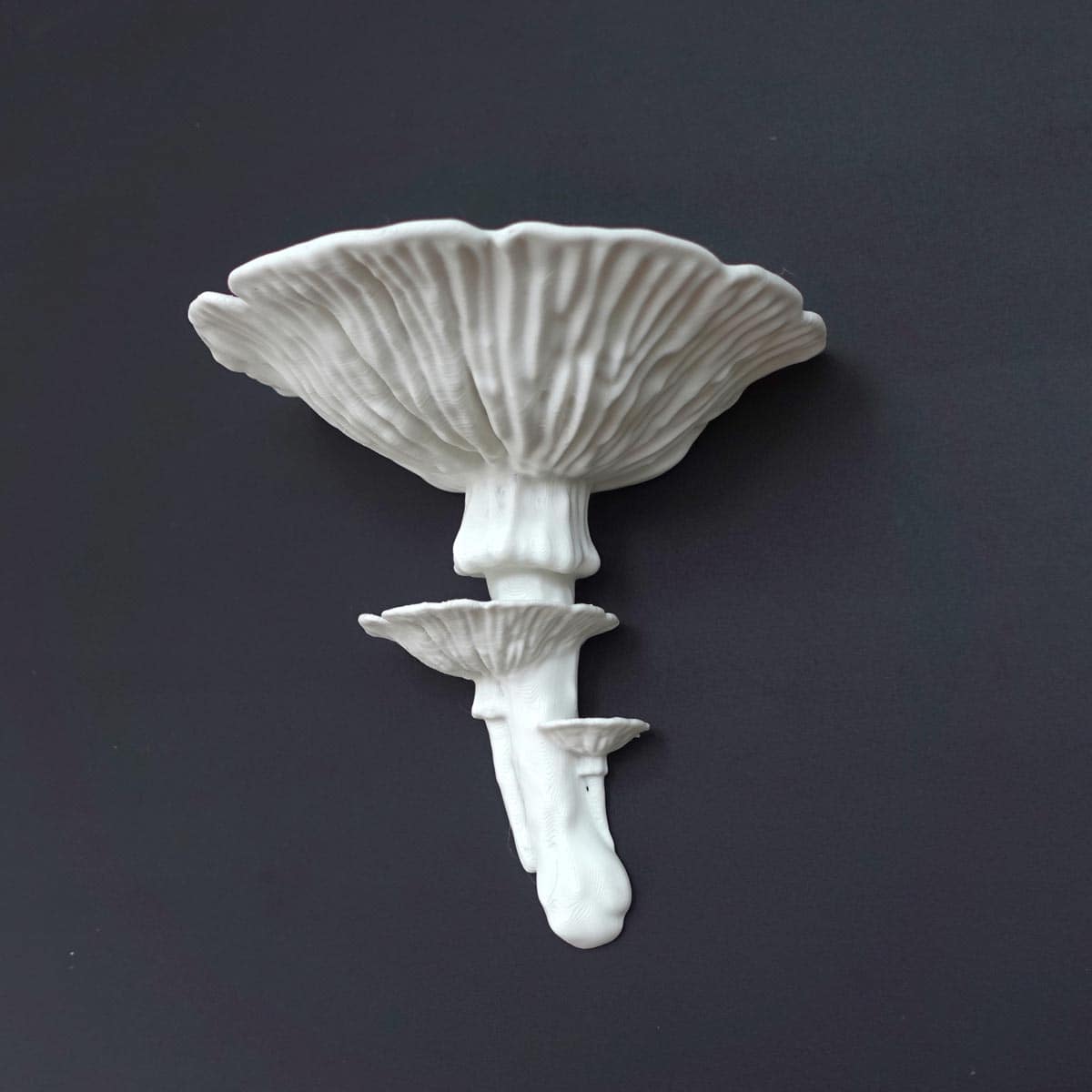 Repisa Hongo Amanita