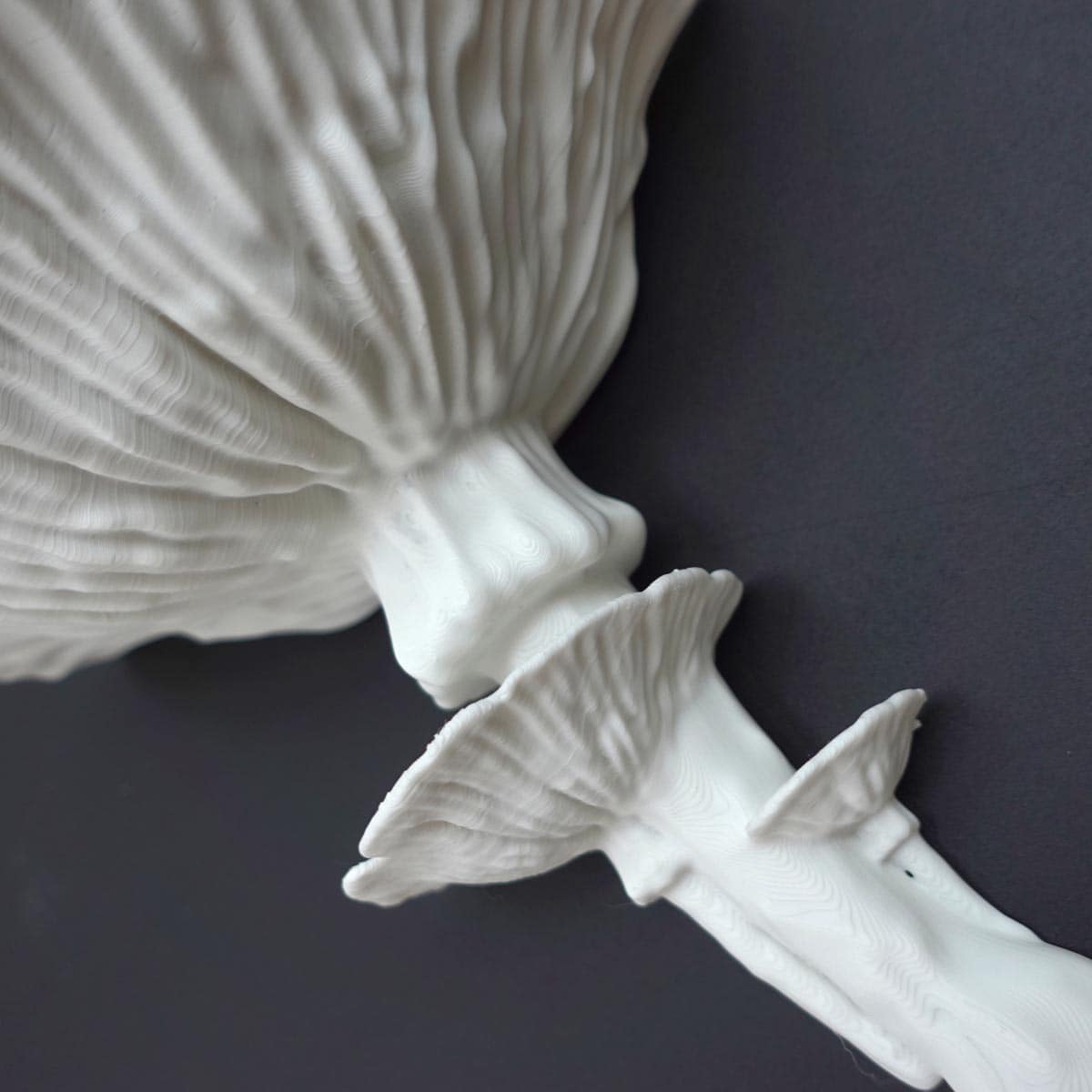 Repisa Hongo Amanita