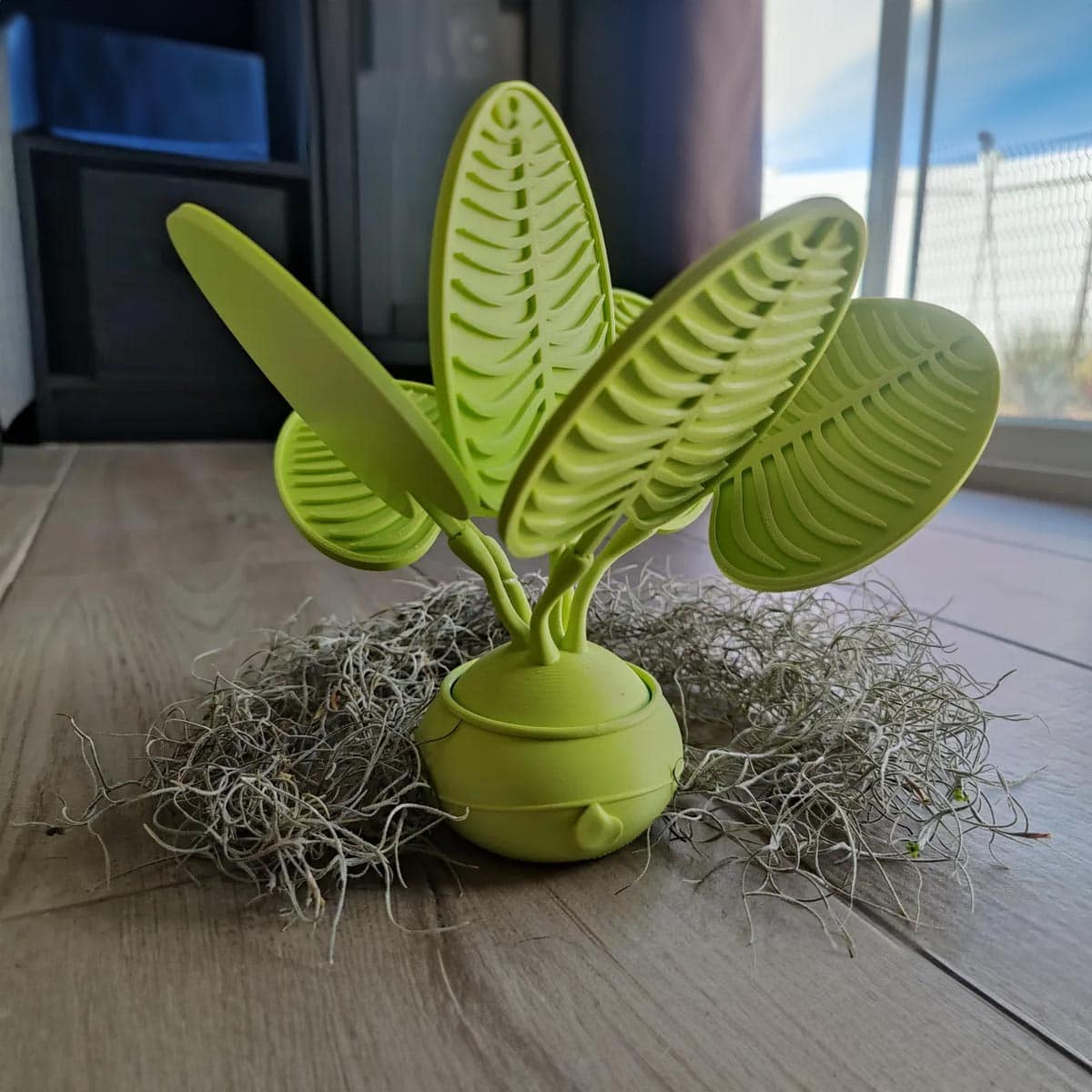 Planta con Hojas Posavasos