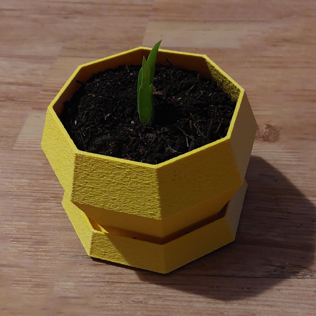 Maceta Octagonal con Base